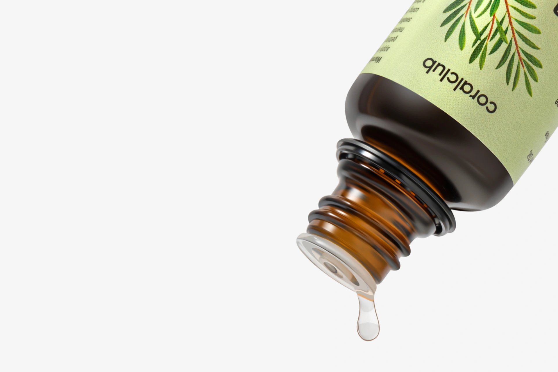 Kosmetický olej čajovníku